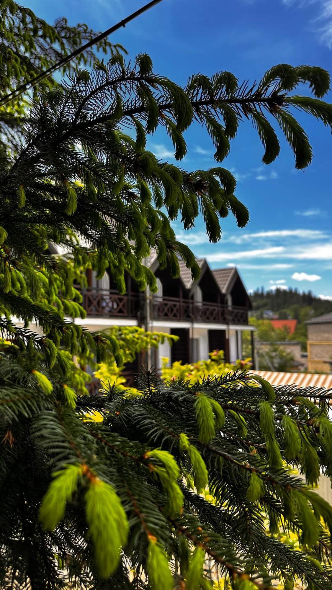 Hotel Rubel Aparthotel&spa Yaremche